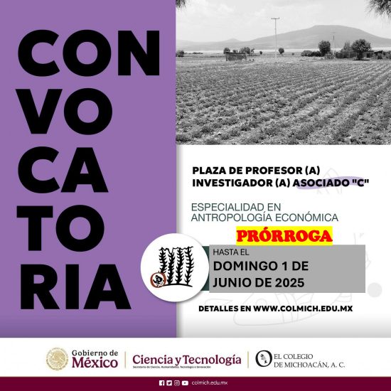 Plaza de profesor(a) investigador(a), especialidad en antropología económica