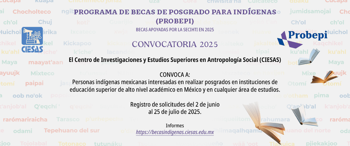 Programa de becas de posgrado para indígenas (PROBEPI) - COMECSO