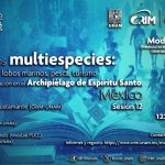 Arreglos multiespecies: lobos marinos, pesca, turismo y conservación