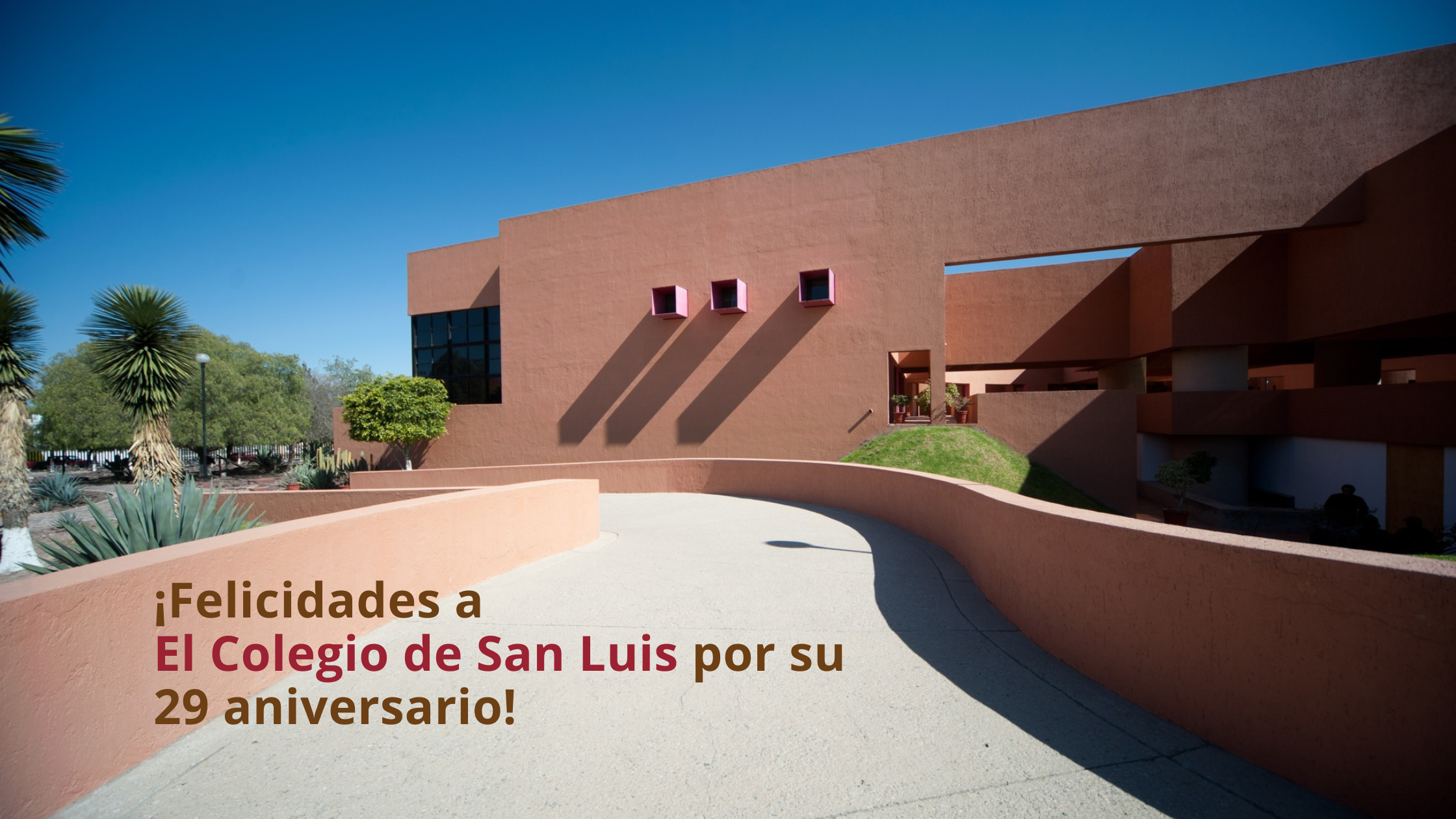 29 años de El Colegio de San Luis