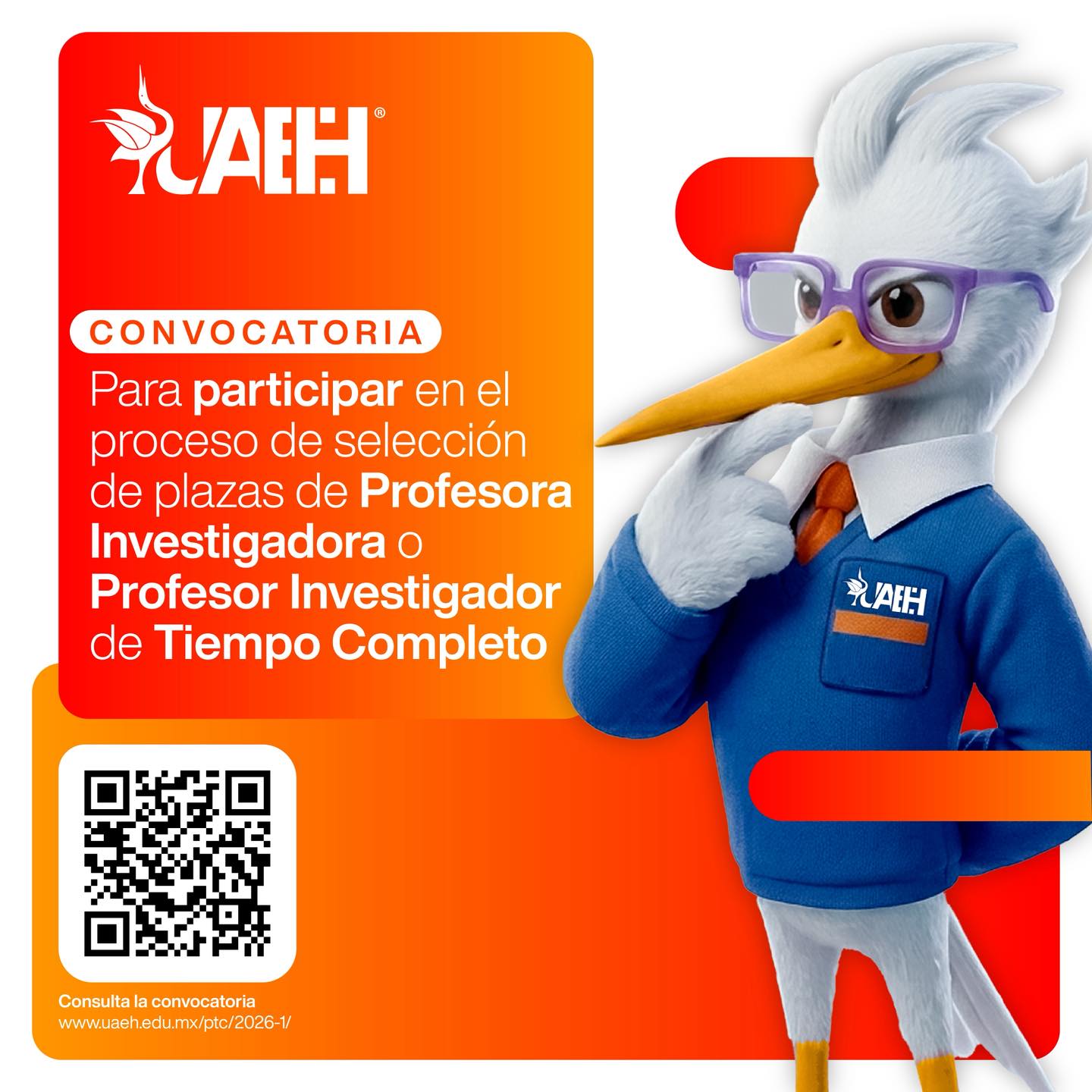 Plazas de profesor/a investigador/a en la UAEH