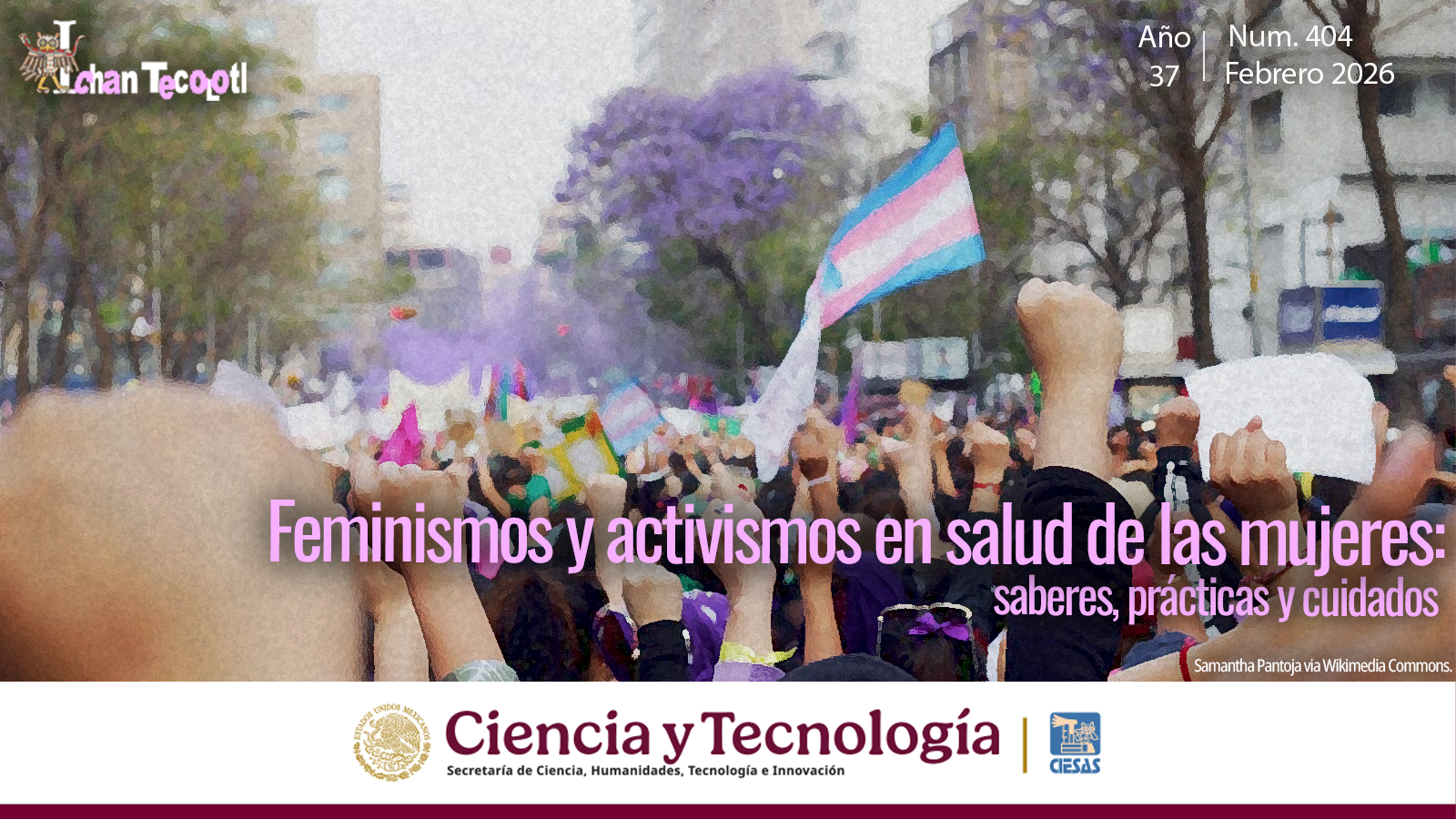 Feminismos y activismos en salud de las mujeres: saberes, prácticas y cuidados